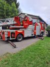IMG-20240819-WA0003_1.jpg